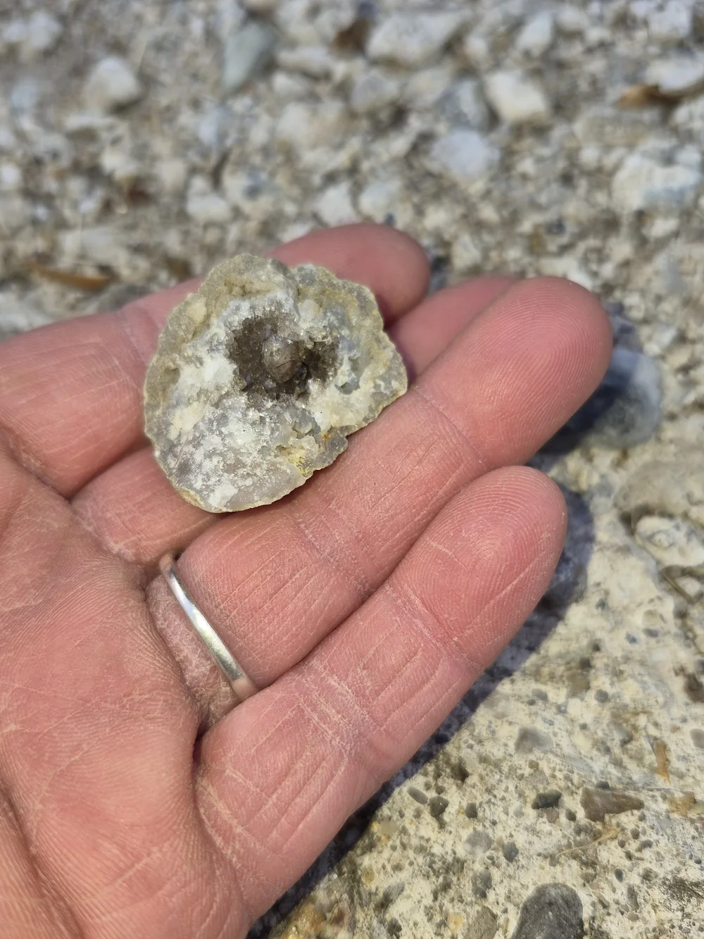 Raw Natural And Uncut Crystals And Fossils